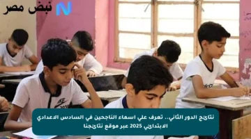 نتائج الدور الثاني.. تعرف على أسماء الناجحين في السادس الإعدادي الإبتدائي 2025 عبر موقع نتائجنا